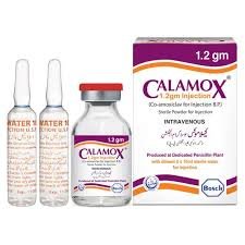 Calamox Iv Injection 1.2 g (1 Box = 1 Injection)
